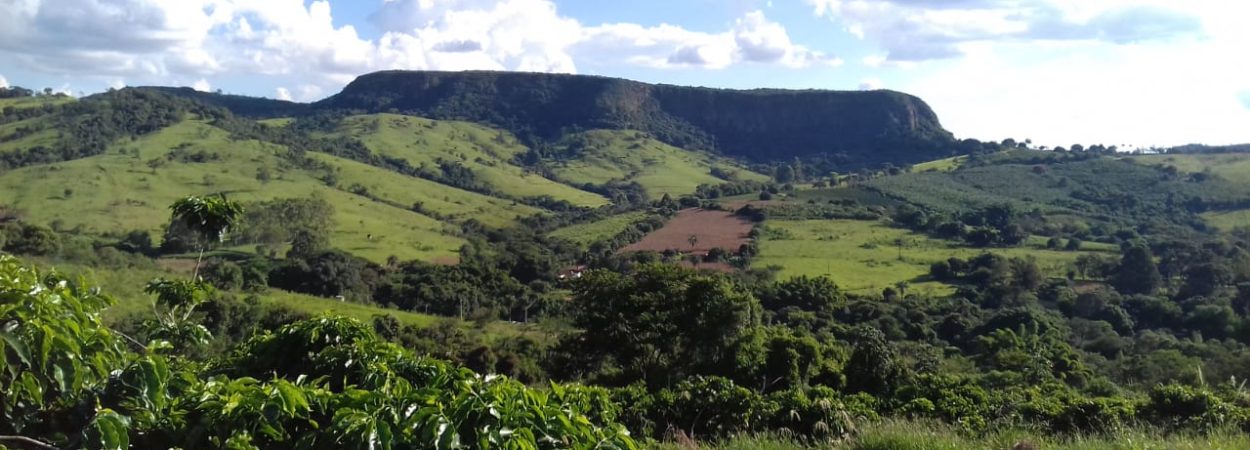 Foto entrada fazenda morro velho